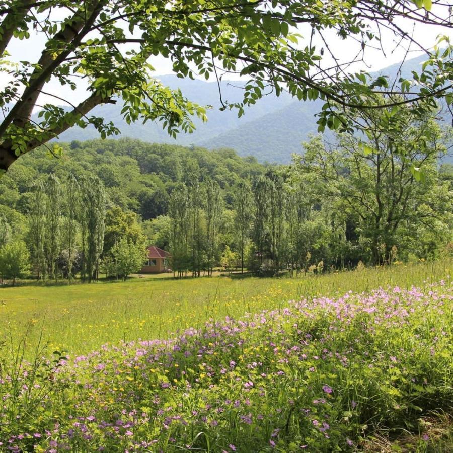 Grand Village Ismayilli Kültér fotó